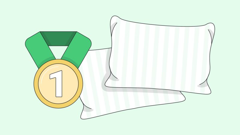 13 Best Pillows Of 2024 Sleep Junkie   Best Pillows 800x450 